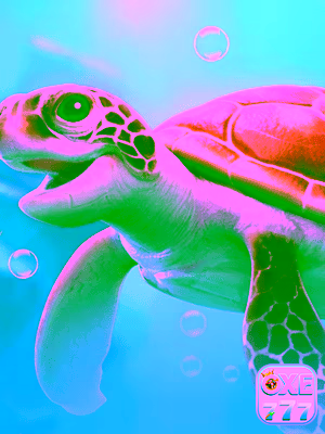 Experiência de Jogos oxe777.com